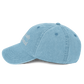 Financially Delusional - Vintage Cap