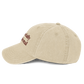 Financially Delusional - Vintage Cap